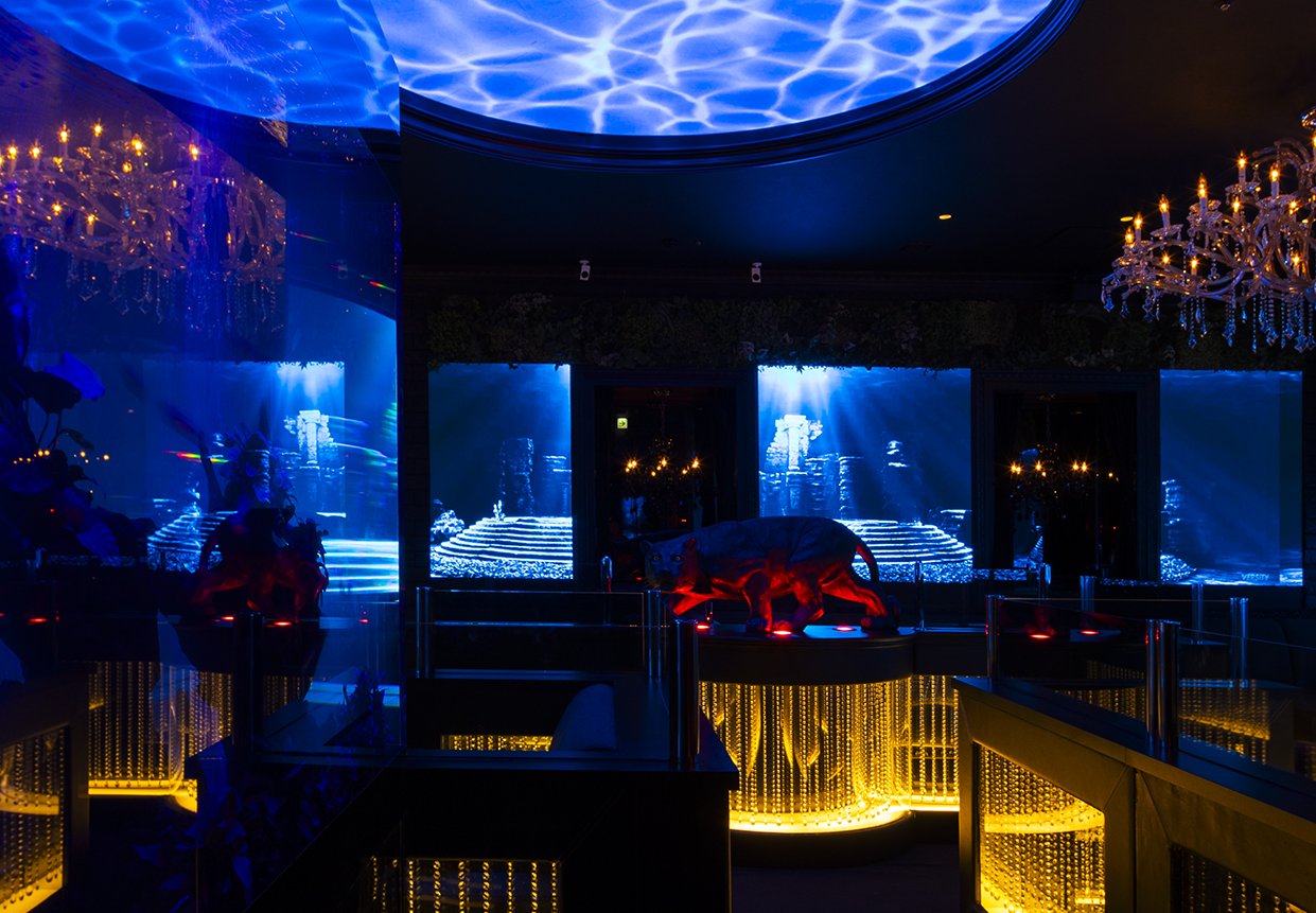 クラブ ハーマンの店内画像