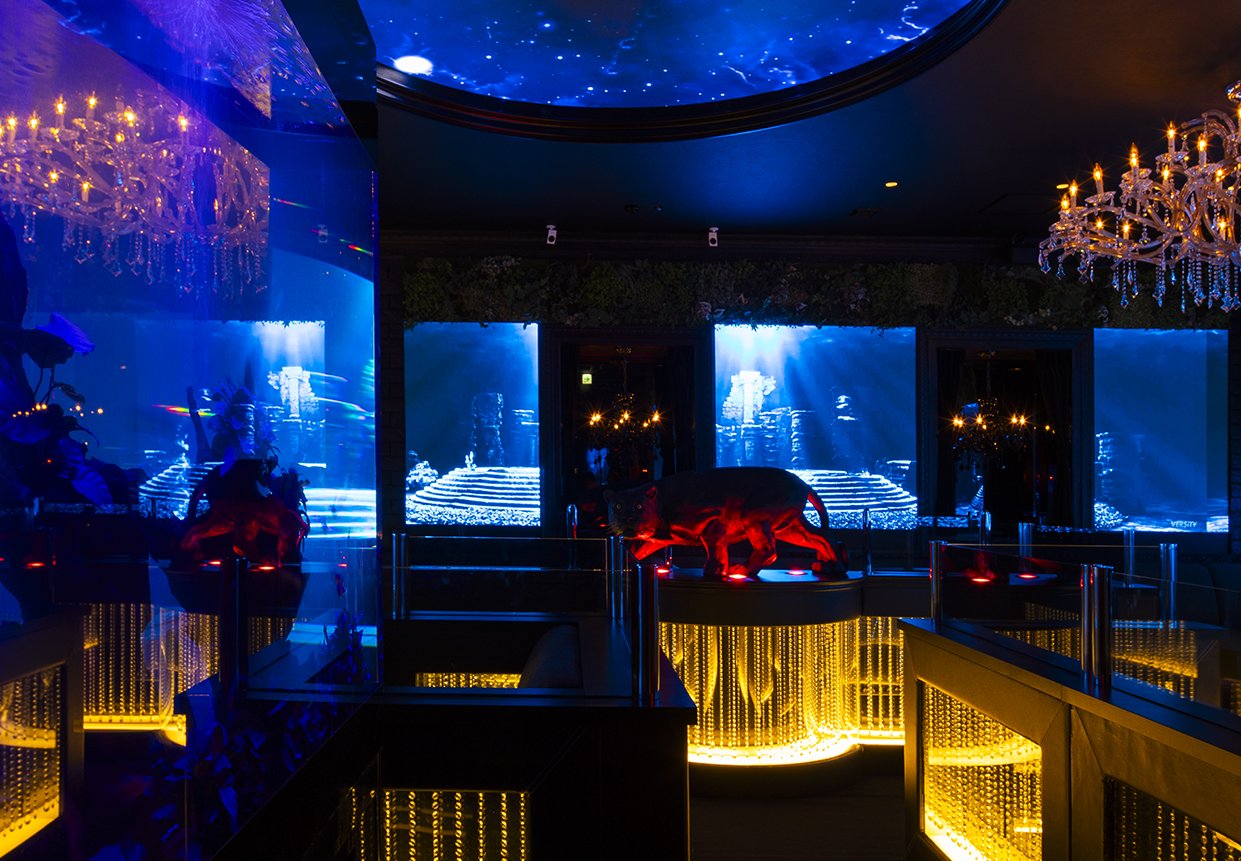 クラブ ハーマンの店内画像