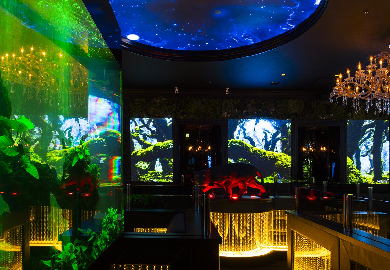 クラブ ハーマンの店内画像