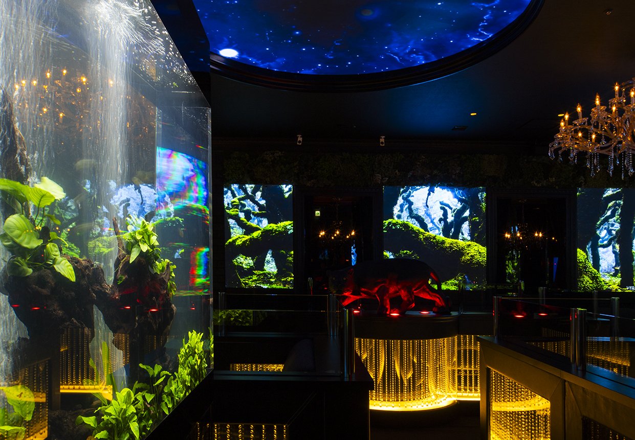 クラブ ハーマンの店内画像